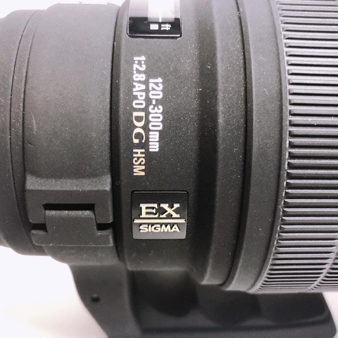 レンズ(ズーム) SIGMA APO 120-300mm F2.8 EX DG HSM Nikon