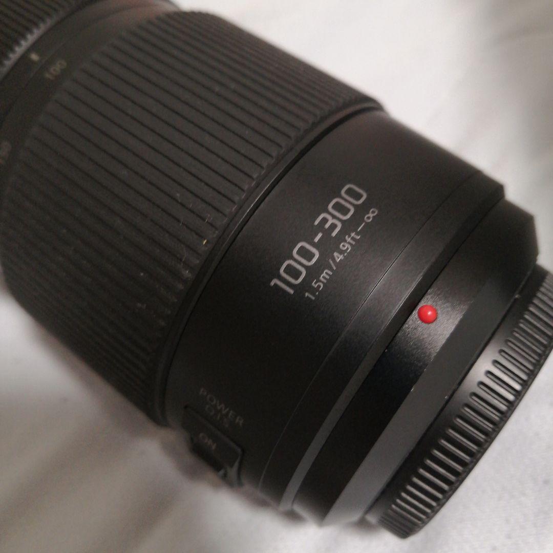 Panasonic H-FSA100300 100-300mm ズームレンズ