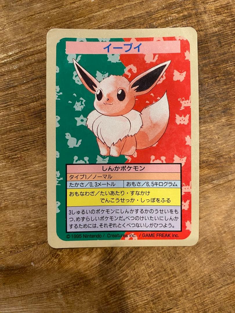 トップサン　イーブイ　番号なし　シャワーズ　サンダース　裏青