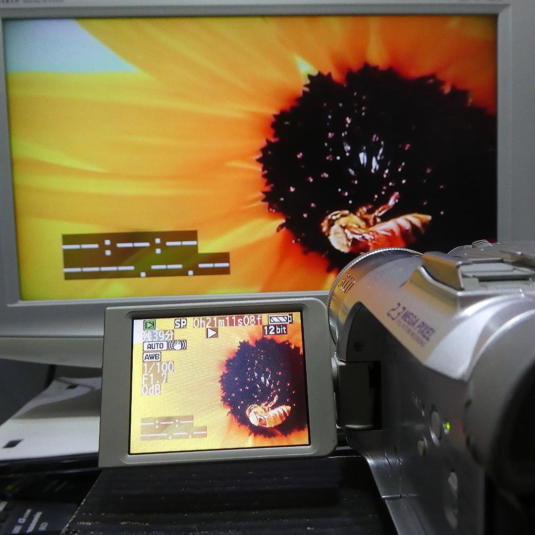 動作良好 パナソニック NV-GS150 MiniDVビデオカメラDVD化に最適