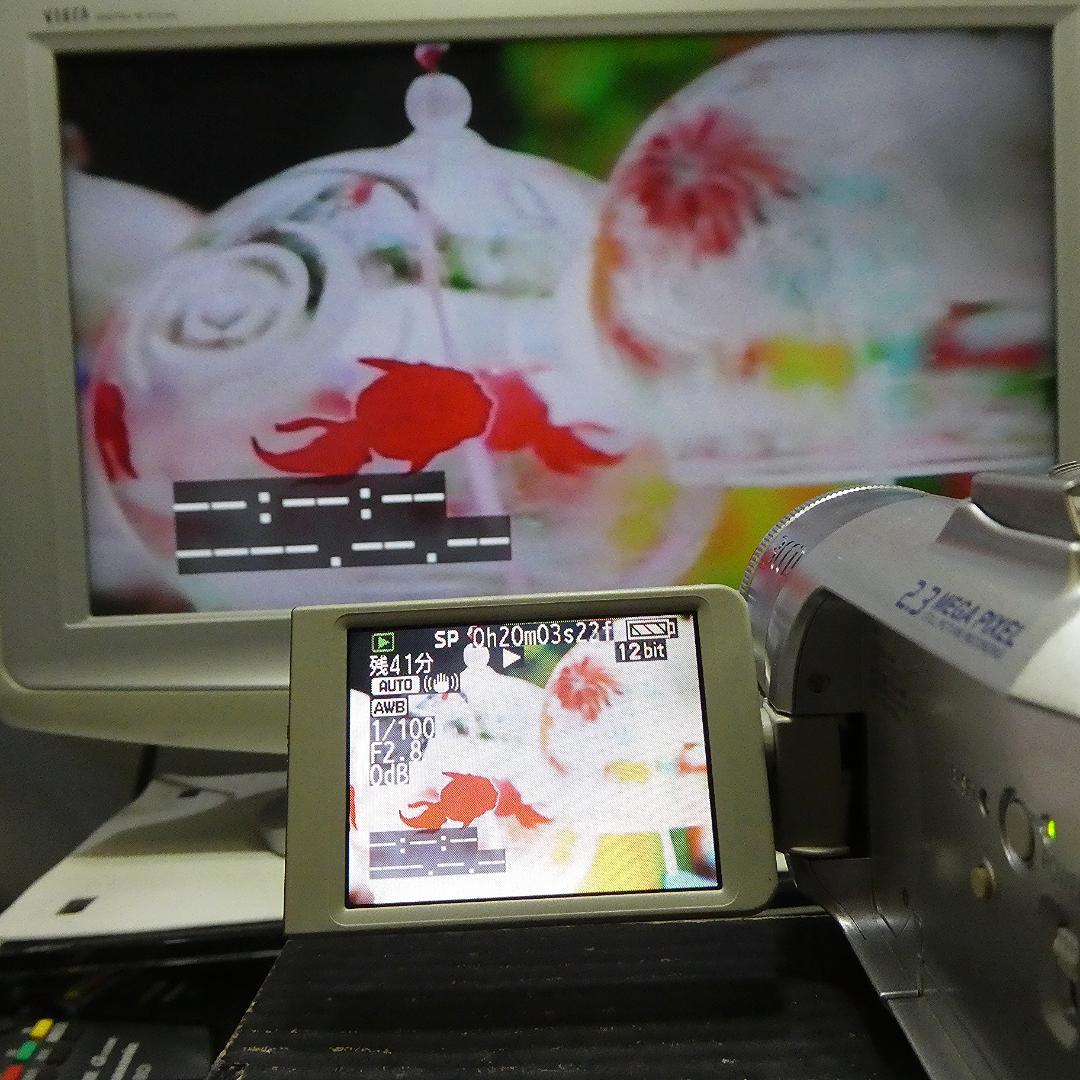 動作良好 パナソニック NV-GS150 MiniDVビデオカメラDVD化に最適