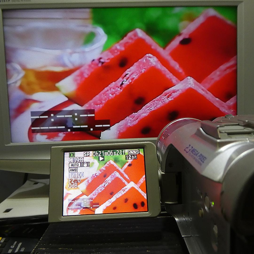 動作良好 パナソニック NV-GS150 MiniDVビデオカメラDVD化に最適