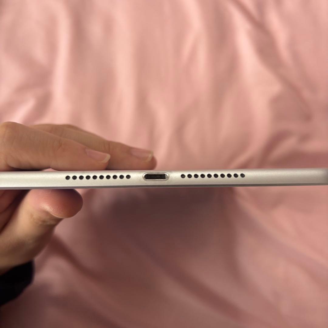 【美品】iPad mini 第5世代 256GB Wi-Fiモデル