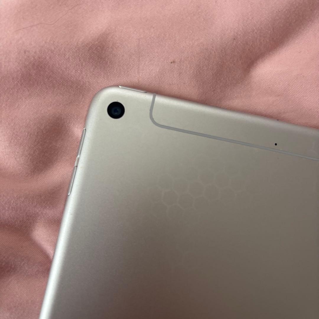 【美品】iPad mini 第5世代 256GB Wi-Fiモデル