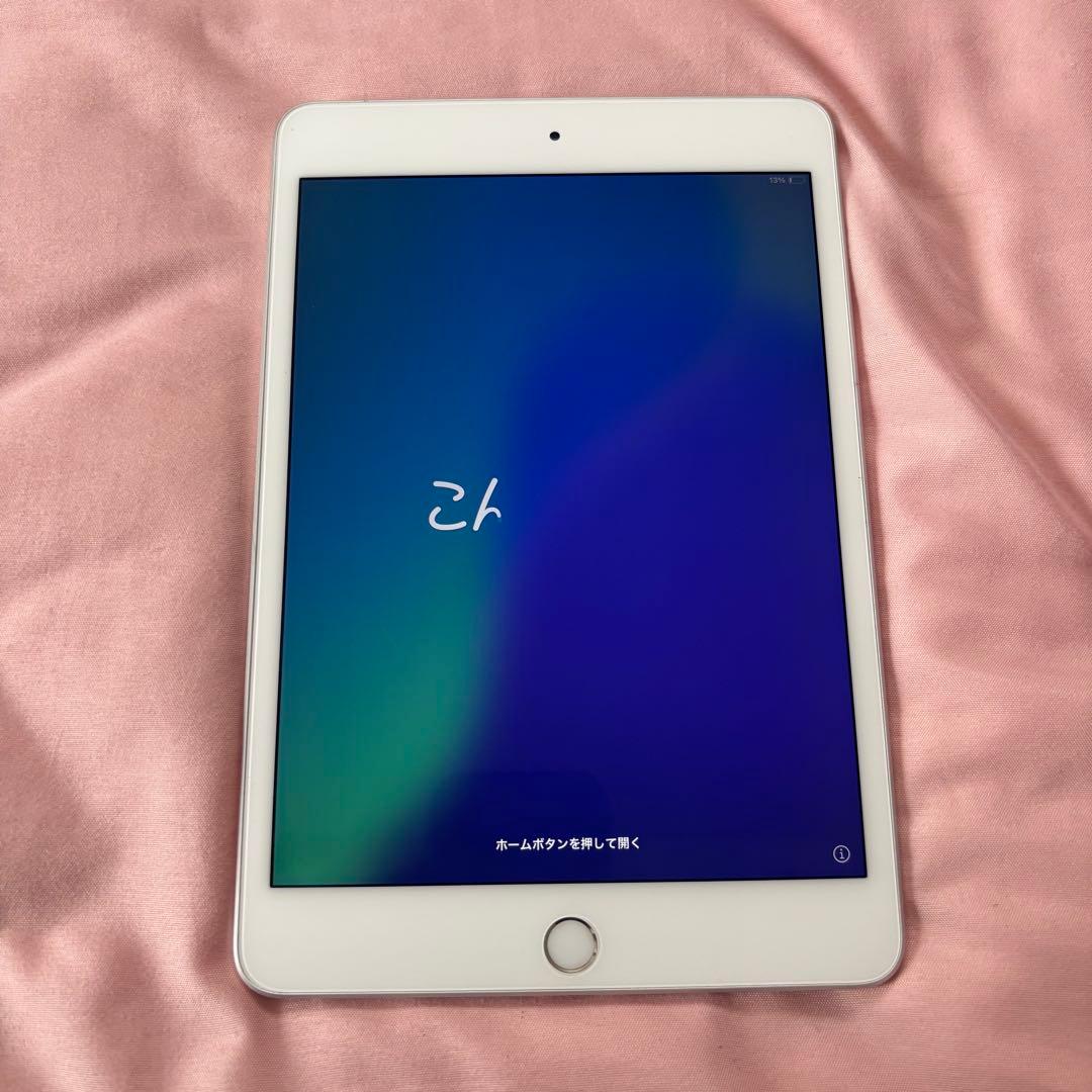 【美品】iPad mini 第5世代 256GB Wi-Fiモデル