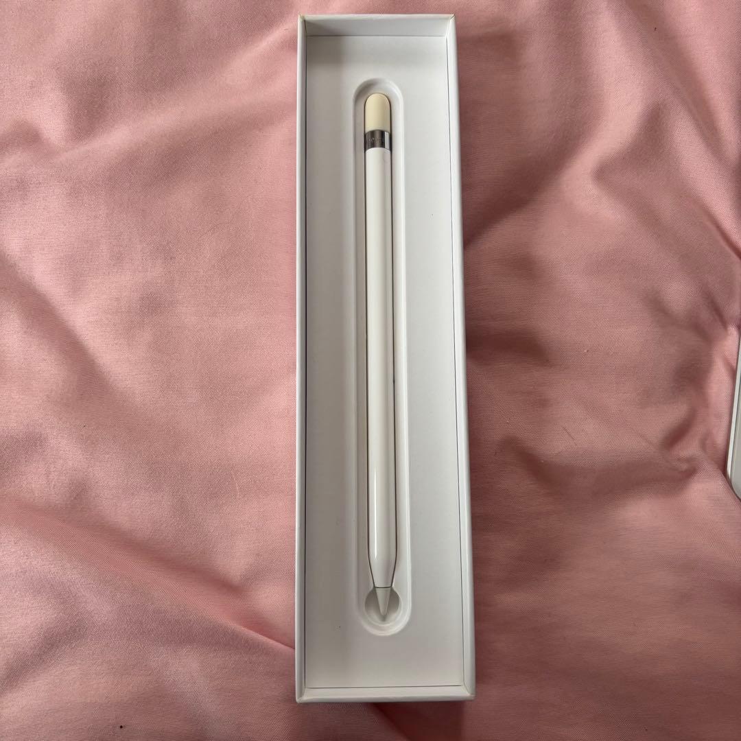 【美品】iPad mini 第5世代 256GB Wi-Fiモデル