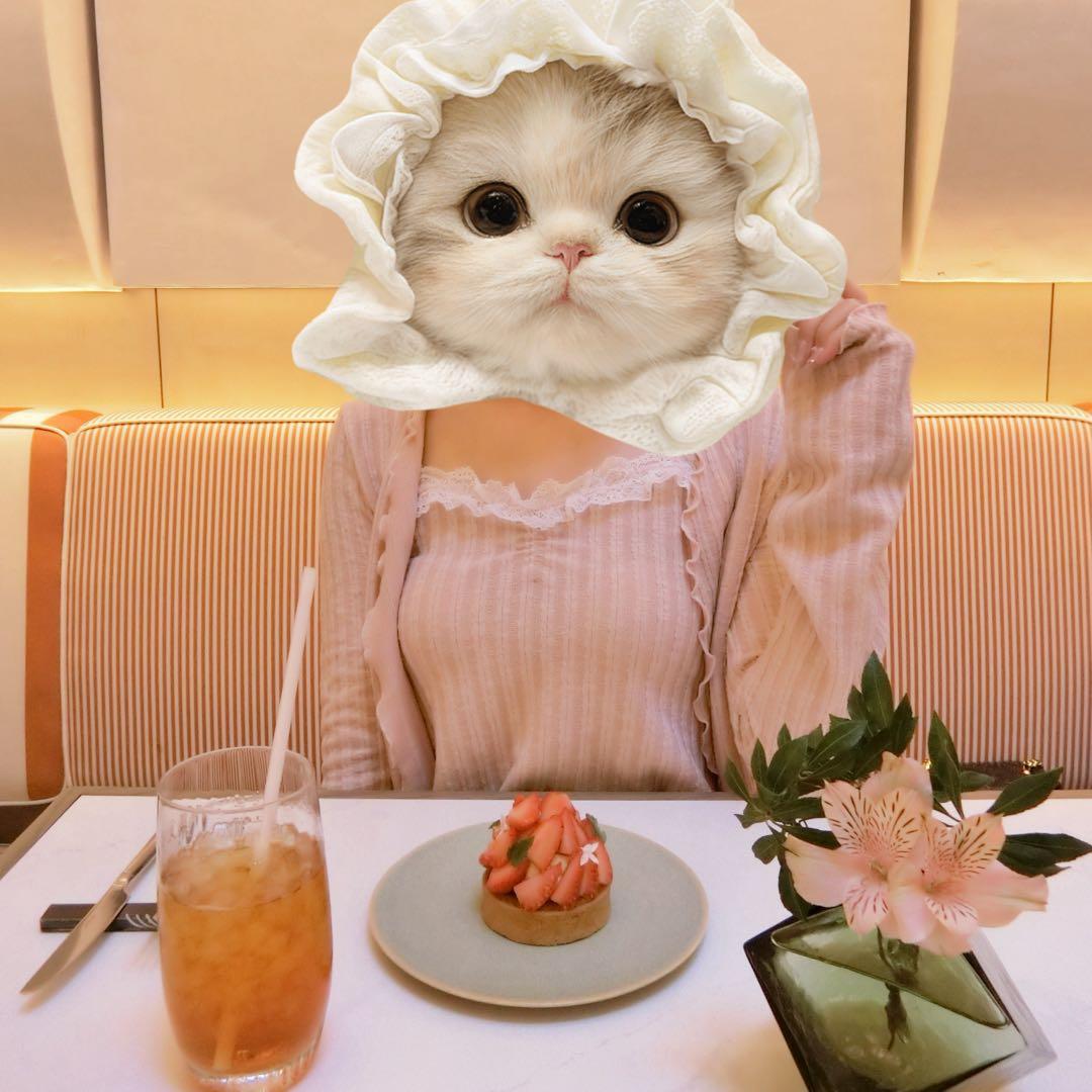 【入手困難】CASIO デジタルカメラ　動作確認済