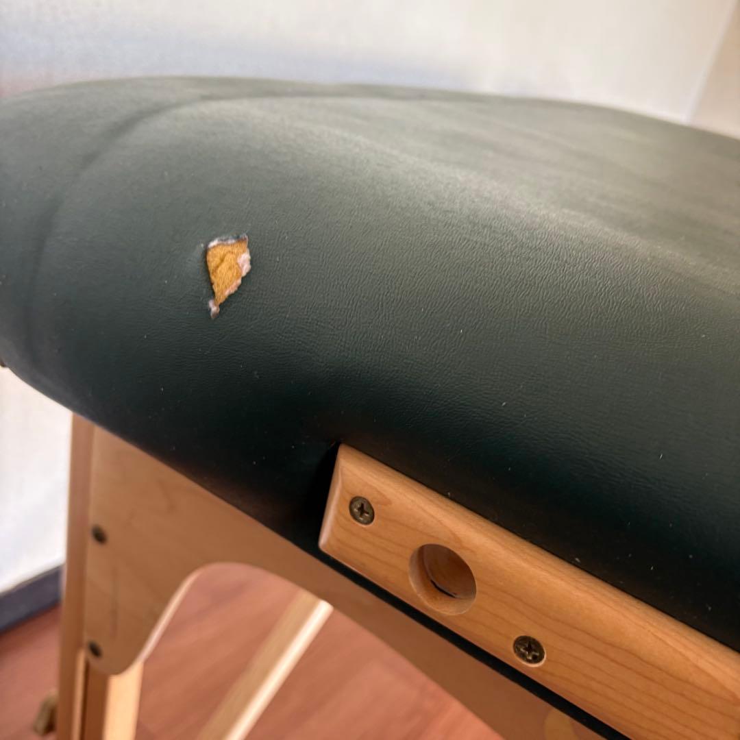 EARTHLIFTE 折りたたみベッド グリーン　マッサージ　アースライト