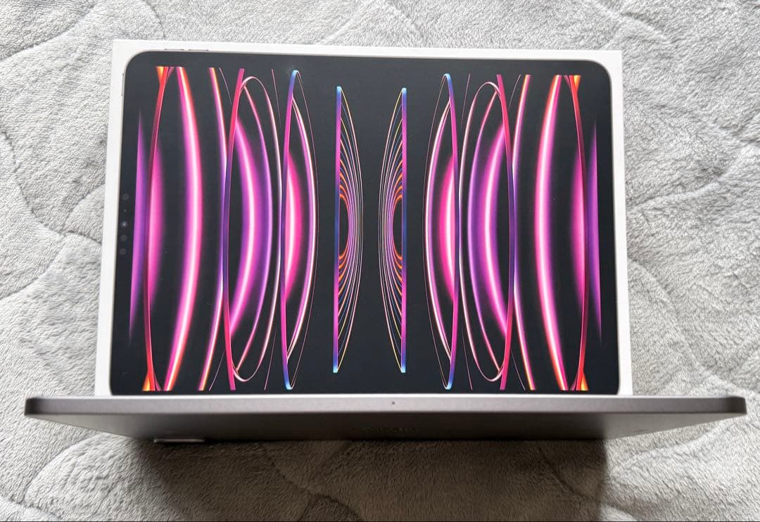 美品Apple iPad Pro 第4世代 11インチ 128GBスペースグレー