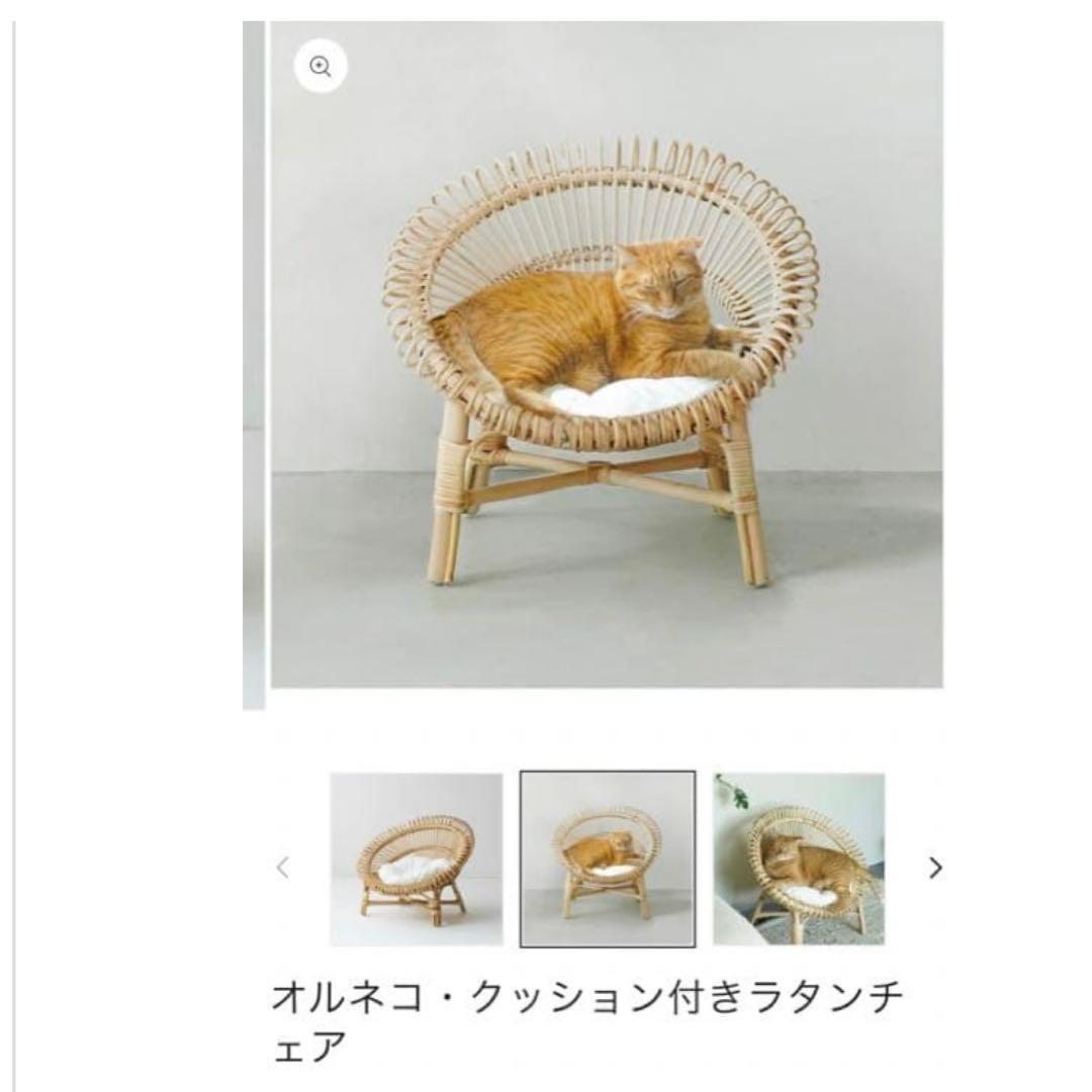 オルネコ　ラタンチェア 椅子　白クッション付き　猫ベッド　木製　キャットベッド