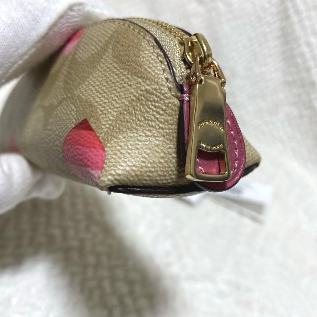 ミント様 未使用】コーチ COACH シグネチャー ハートプリント ペンケース