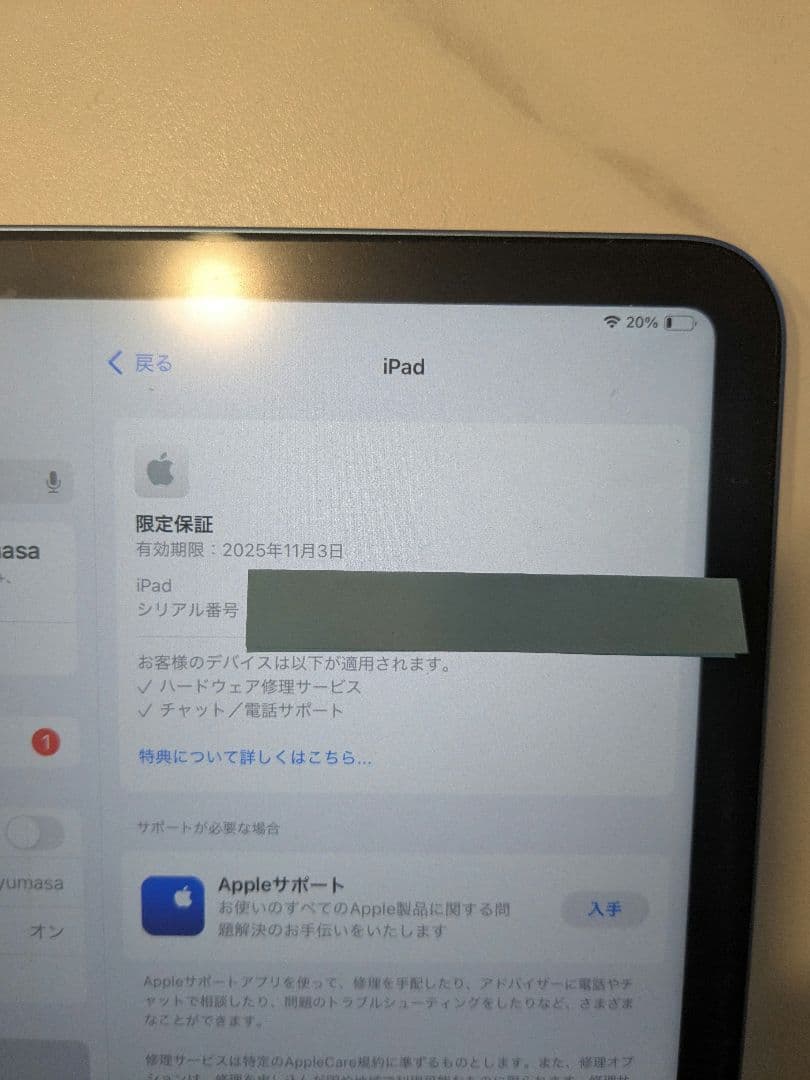 Apple iPad ・第10世代・256GB・ブルー・ペン、 ケース付・保証有