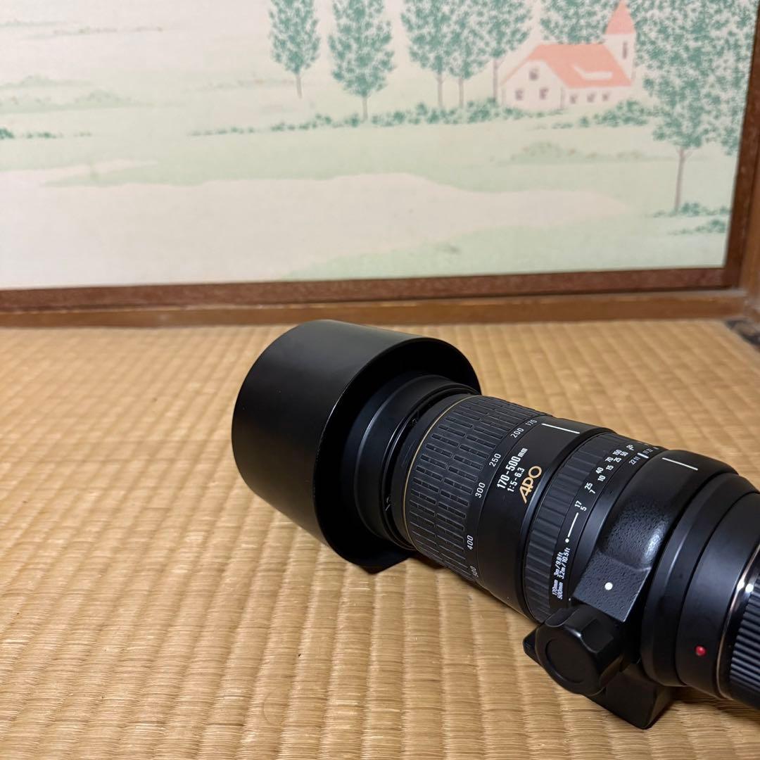 レンズ(ズーム) SIGMA APO 170-500mm 1:5-6.3