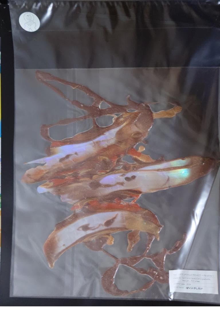 はくいきしろい KATE 【アップサイクルプロジェクト 当選 ステッカー】ケイト