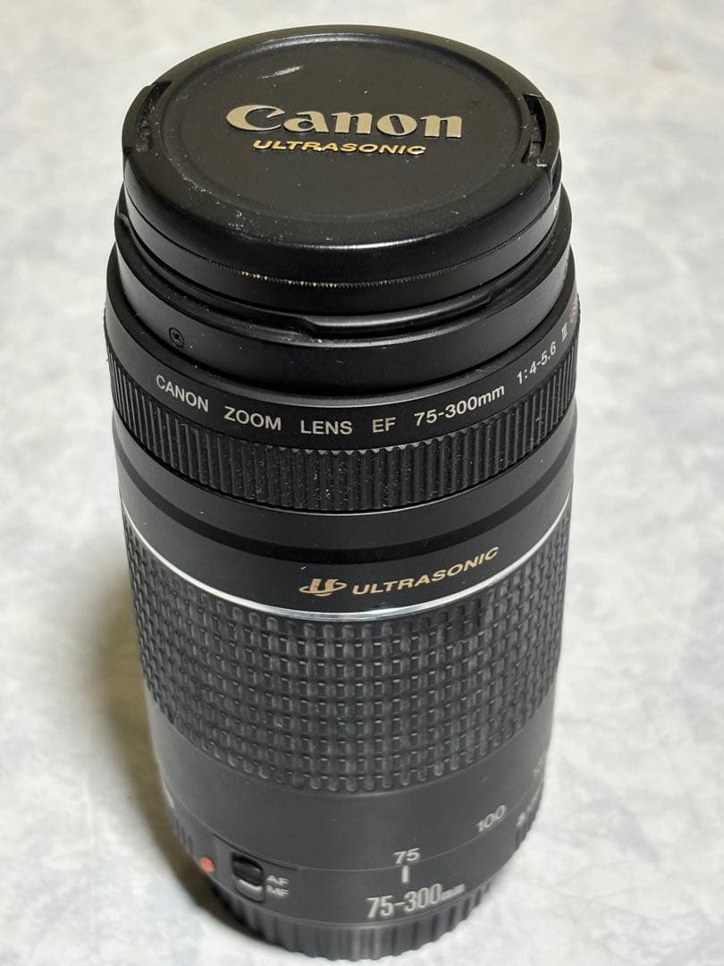 Canon EOS デジタル一眼レフカメラ DS6041 レンズ付きセット