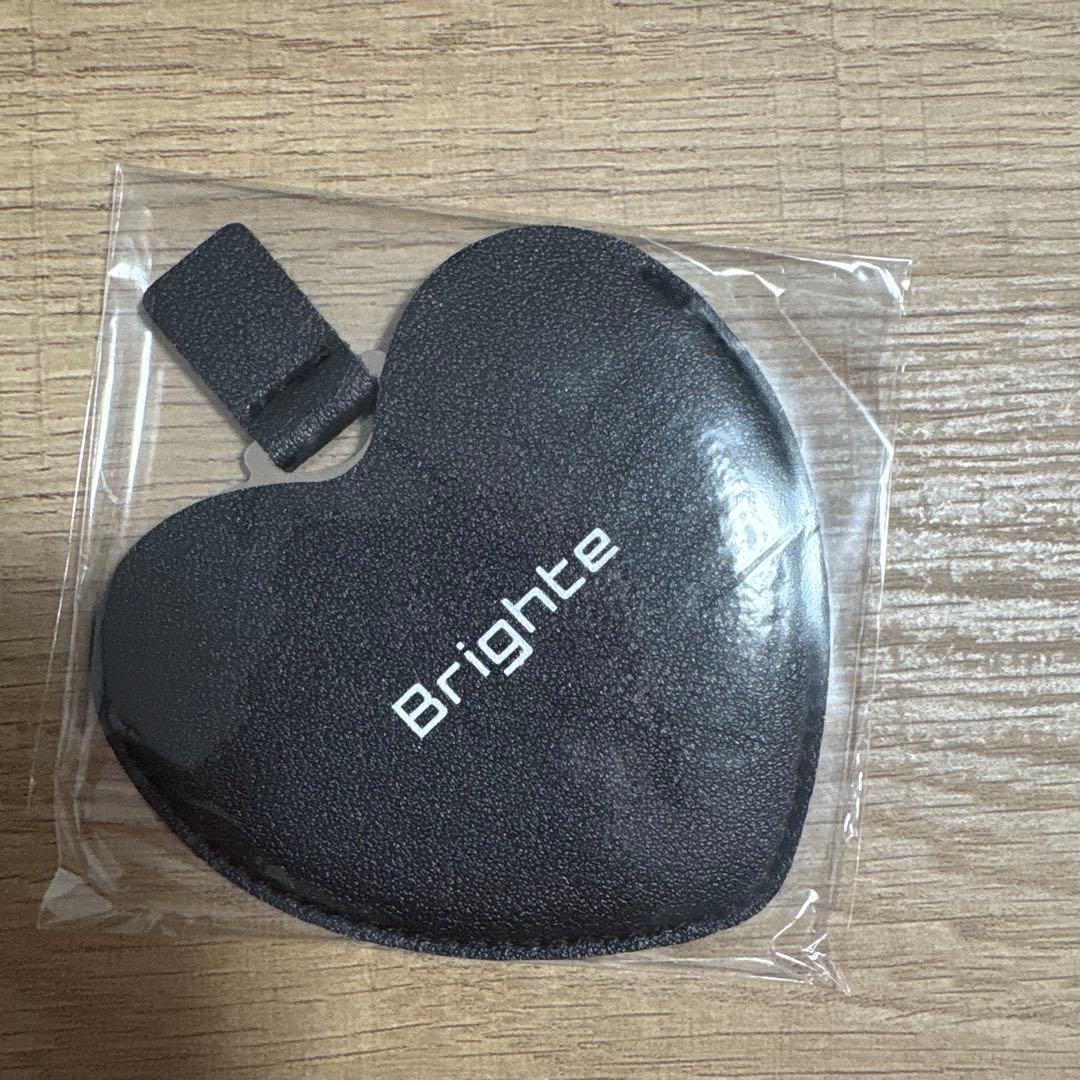 Brighte ELEKBRUSH ミッキーマウスデザイン