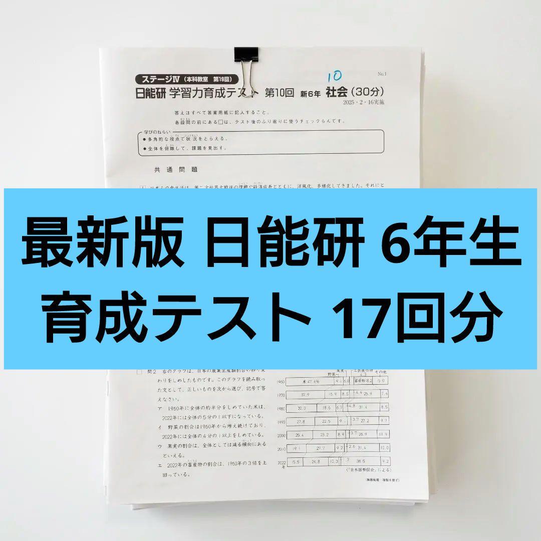 【最新版】日能研 2025年度 6年生 学習力育成テスト 17回分 解答あり