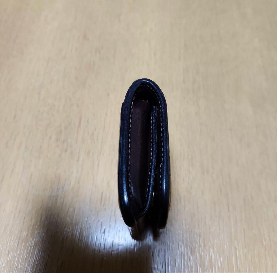 ワイルドスワンズ　クロコダイルパーム