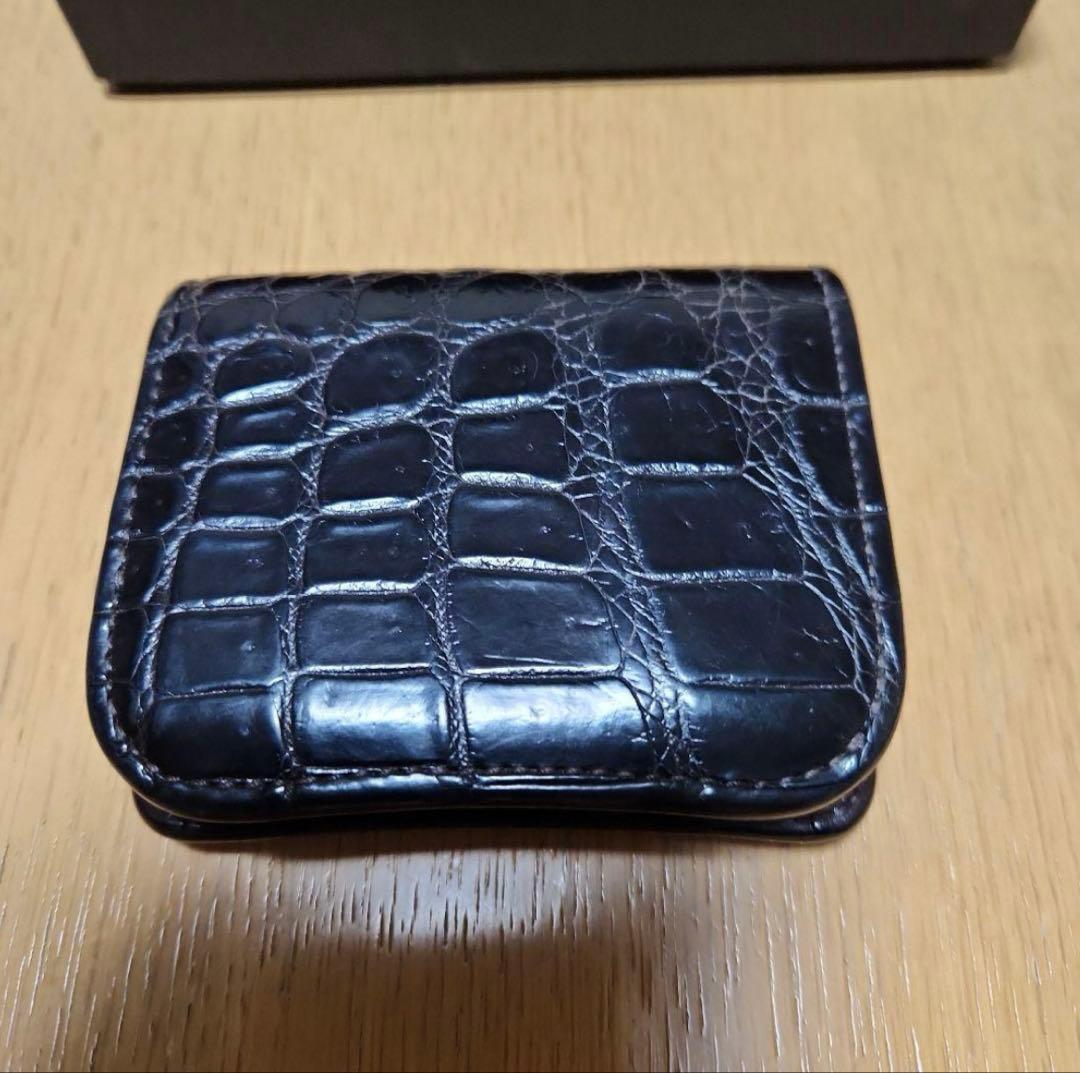 ワイルドスワンズ　クロコダイルパーム