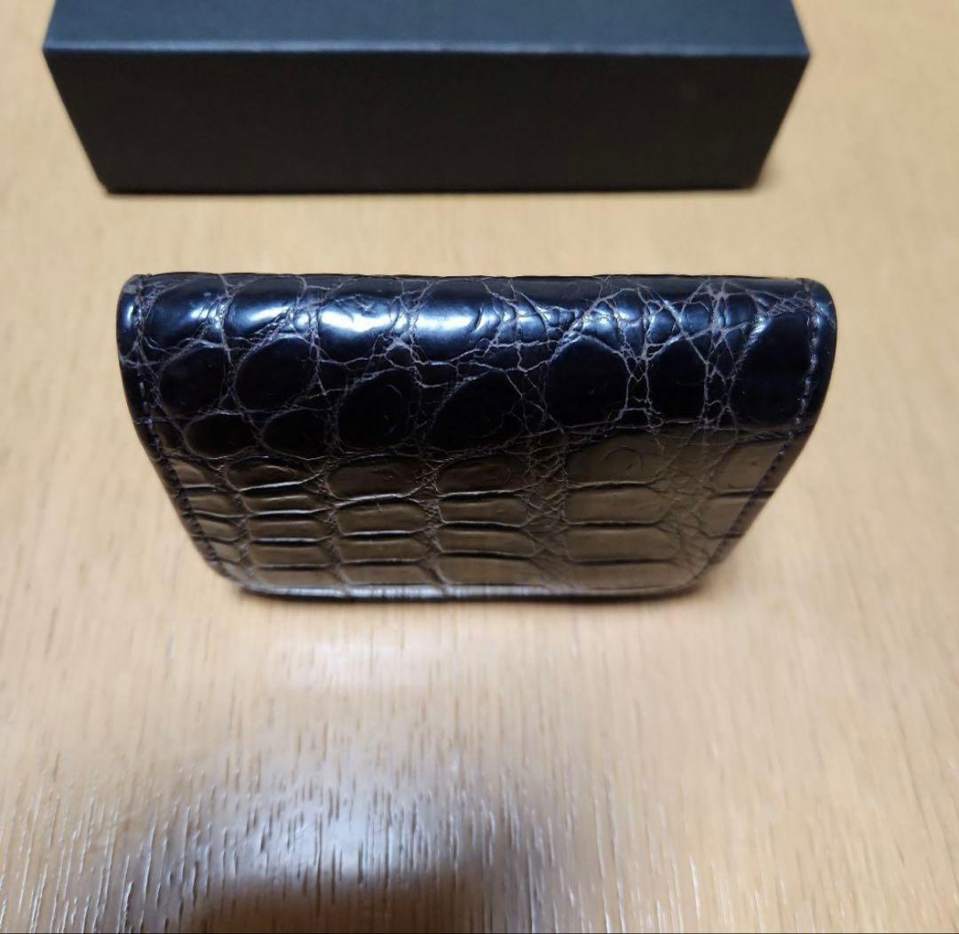 ワイルドスワンズ　クロコダイルパーム