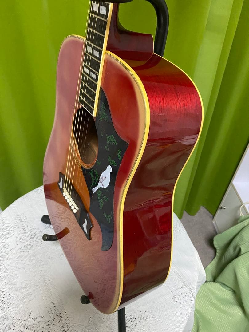 カントリーしようぜ！モーリス DOVE エレアコ 音出し良好　アコギもOK！