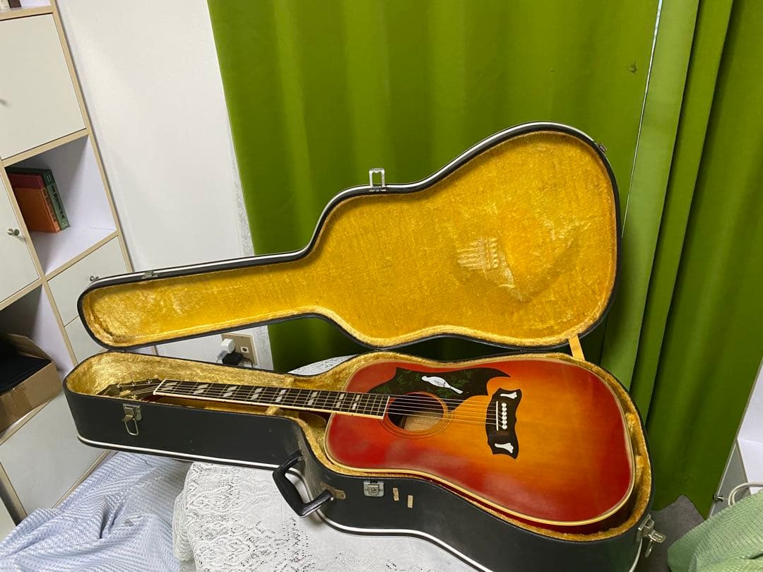 カントリーしようぜ！モーリス DOVE エレアコ 音出し良好　アコギもOK！