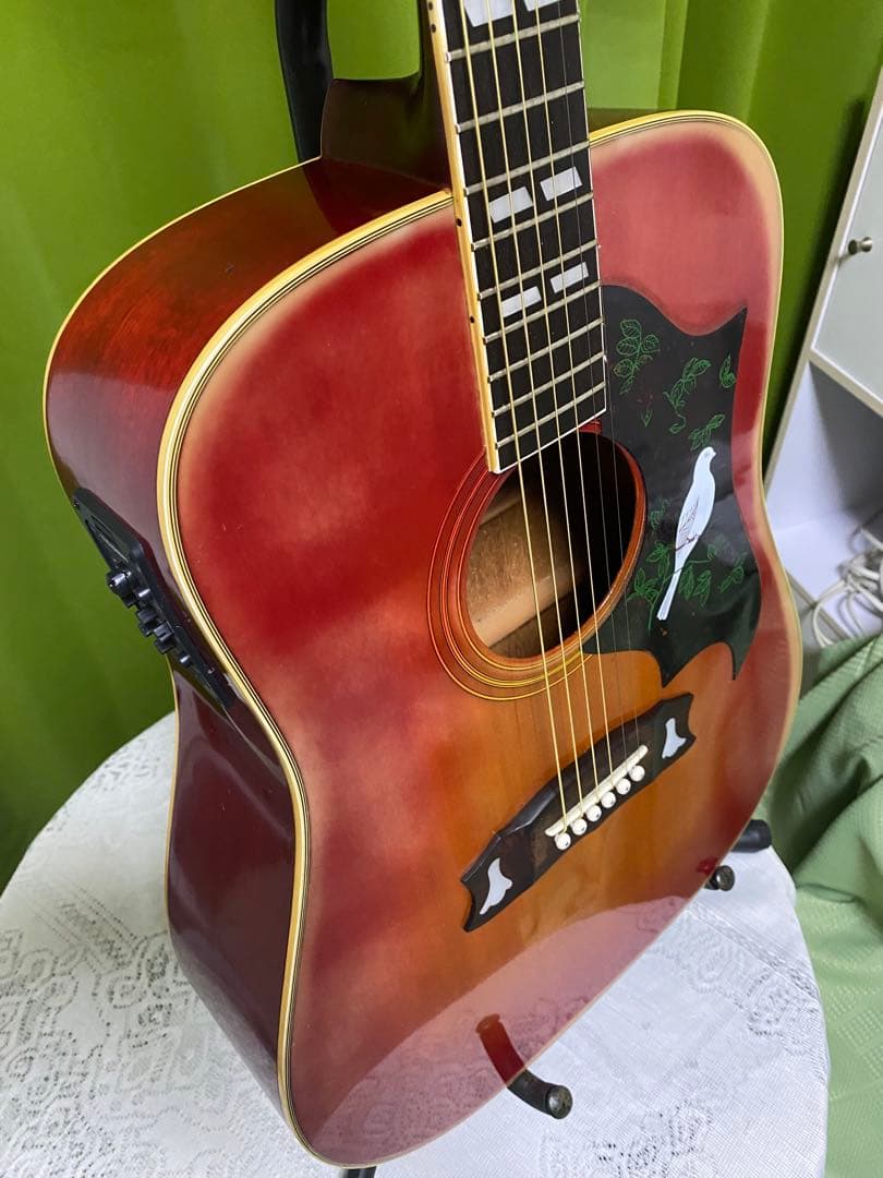 カントリーしようぜ！モーリス DOVE エレアコ 音出し良好　アコギもOK！