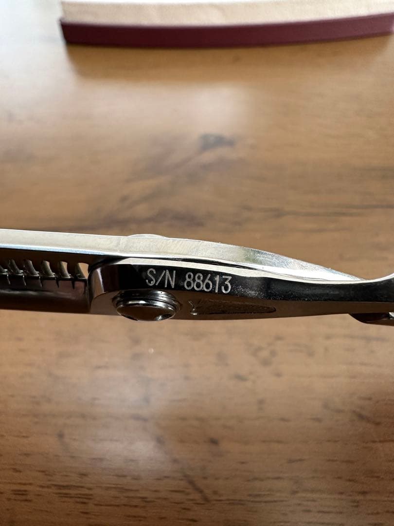 トギノンセニングサクセススター