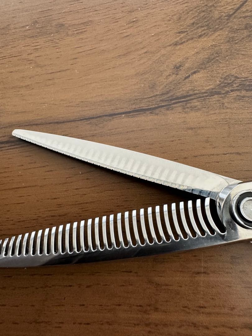 トギノンセニングサクセススター