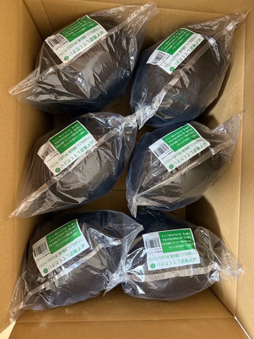 国家試験用カットウィッグ6体