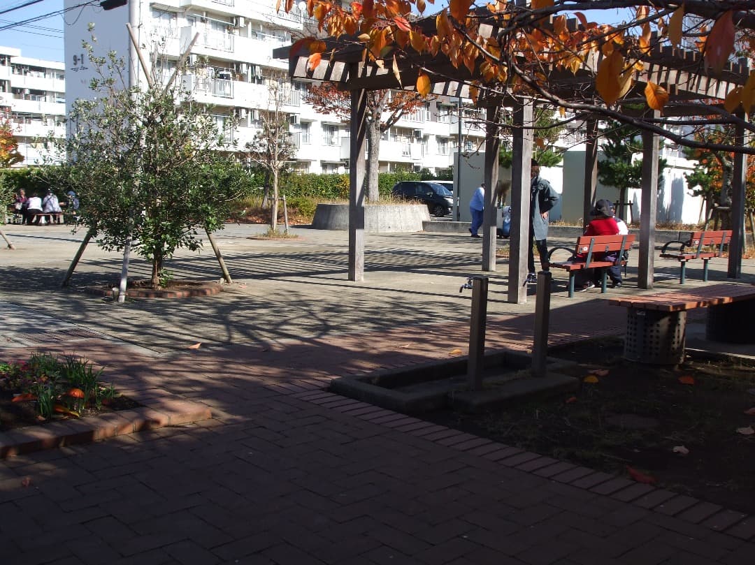 実写美⭕️【動作確認済み】FUJIFILM FinePix A900