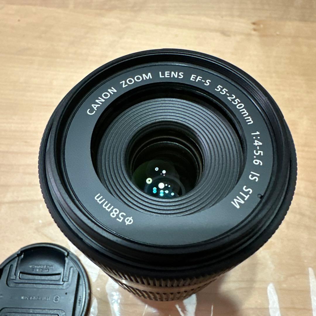 【新品未使用】Canon キヤノン 望遠ズームレンズEF-S55-250mm純正