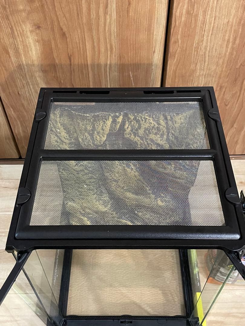 すぐ飼育可！GEX エキゾテラ グラステラリウム 3045 豪華12点おまけつき