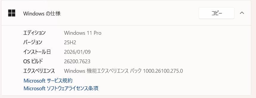 高速、高性能、ThinkPad E15、16GB、256GB NVMe SSD
