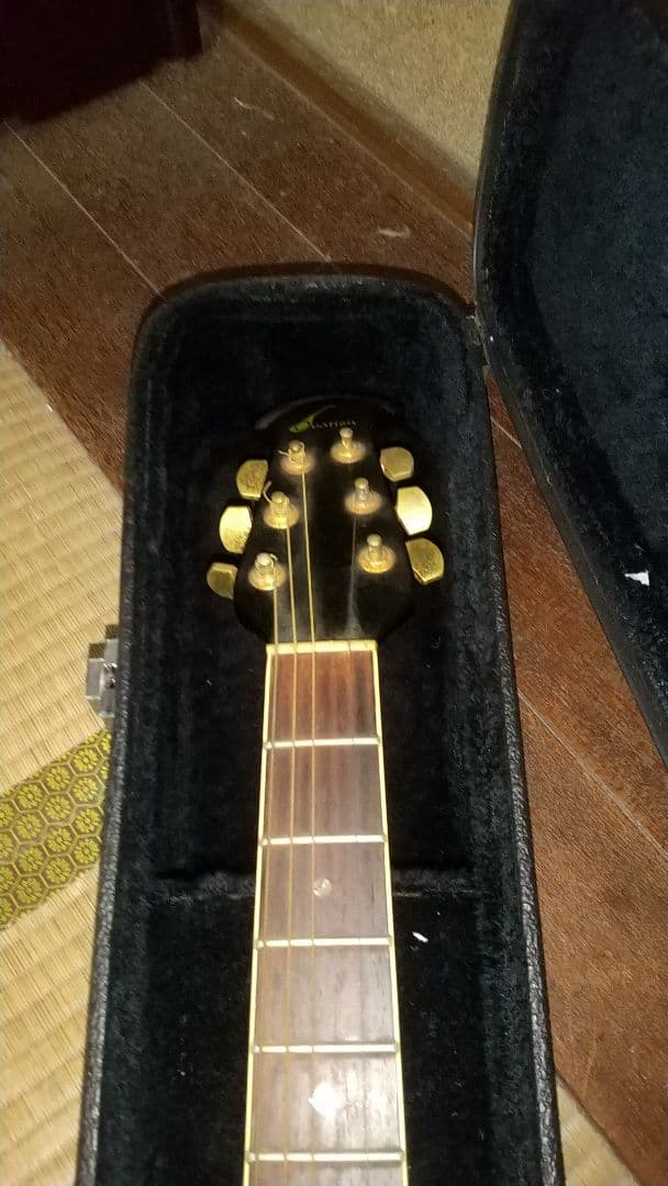 アコースティックギター グラデーションブルー ケース付き