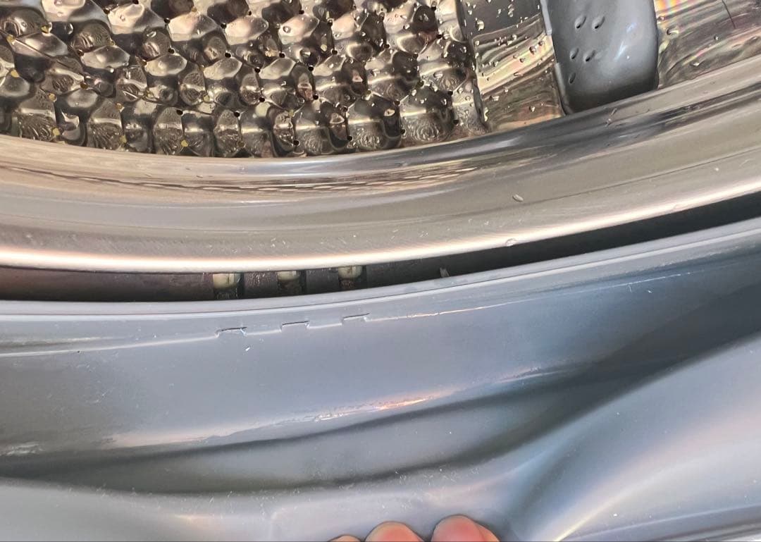 IRIS OHYAMA ドラム式洗濯機 FLK832,2021年