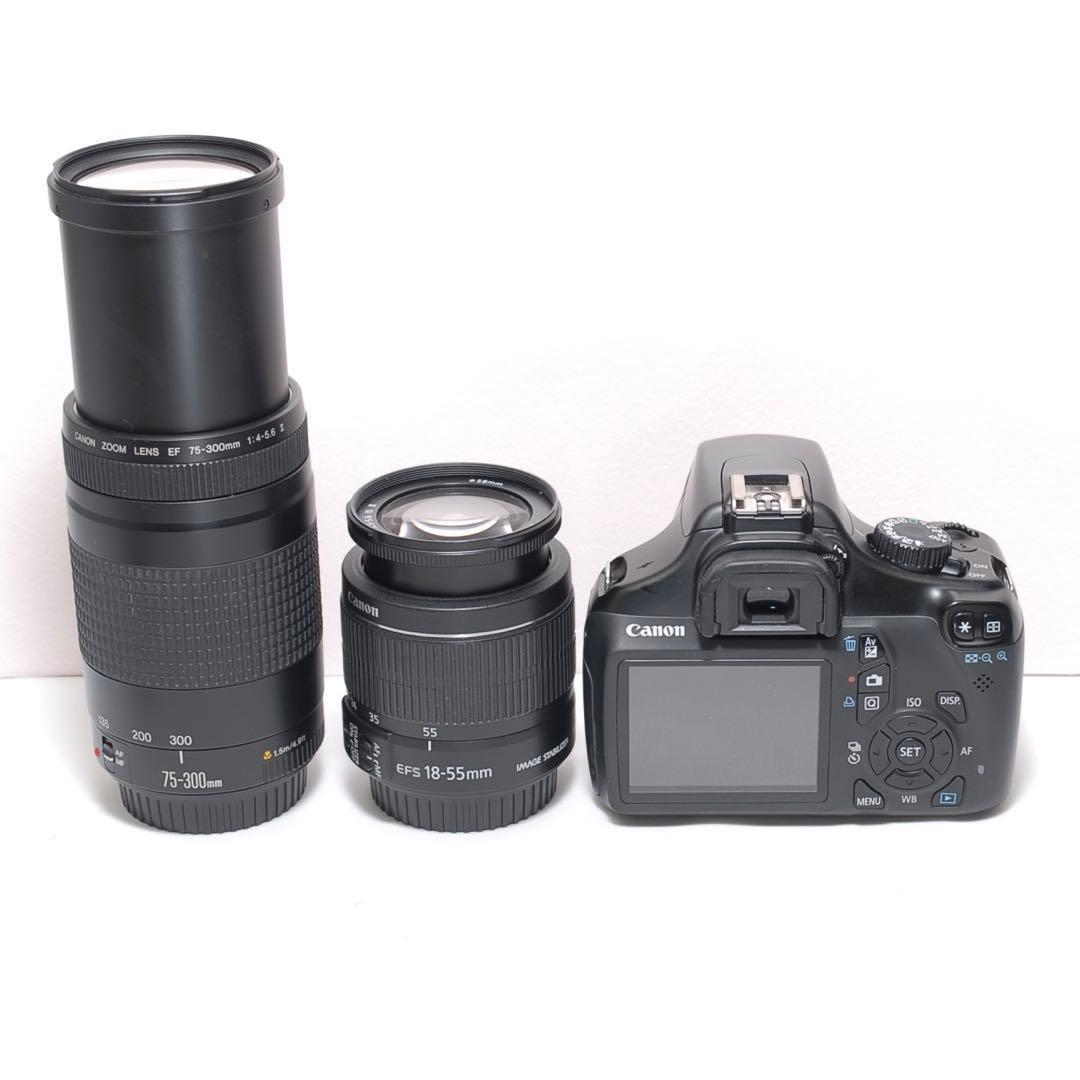 超望遠レンズデビュー✨Canon Kiss X50✨ダブルレンズ✨入門モデル✨