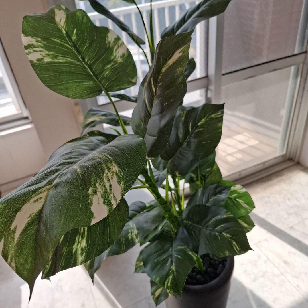 人工観葉植物 約150cm 黒ポット