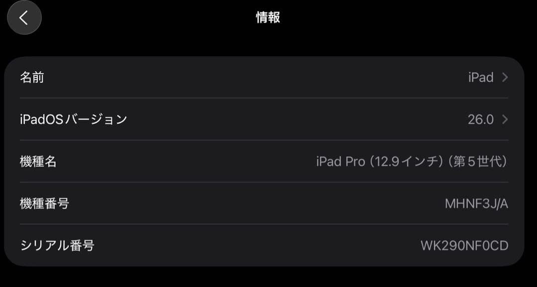 【美品】iPad Pro 12.9インチ 128GB (第5世代)スペースグレー