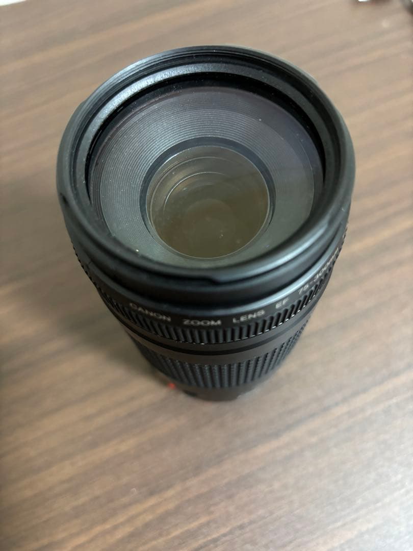 Canon EF 75-300mm ズームレンズ