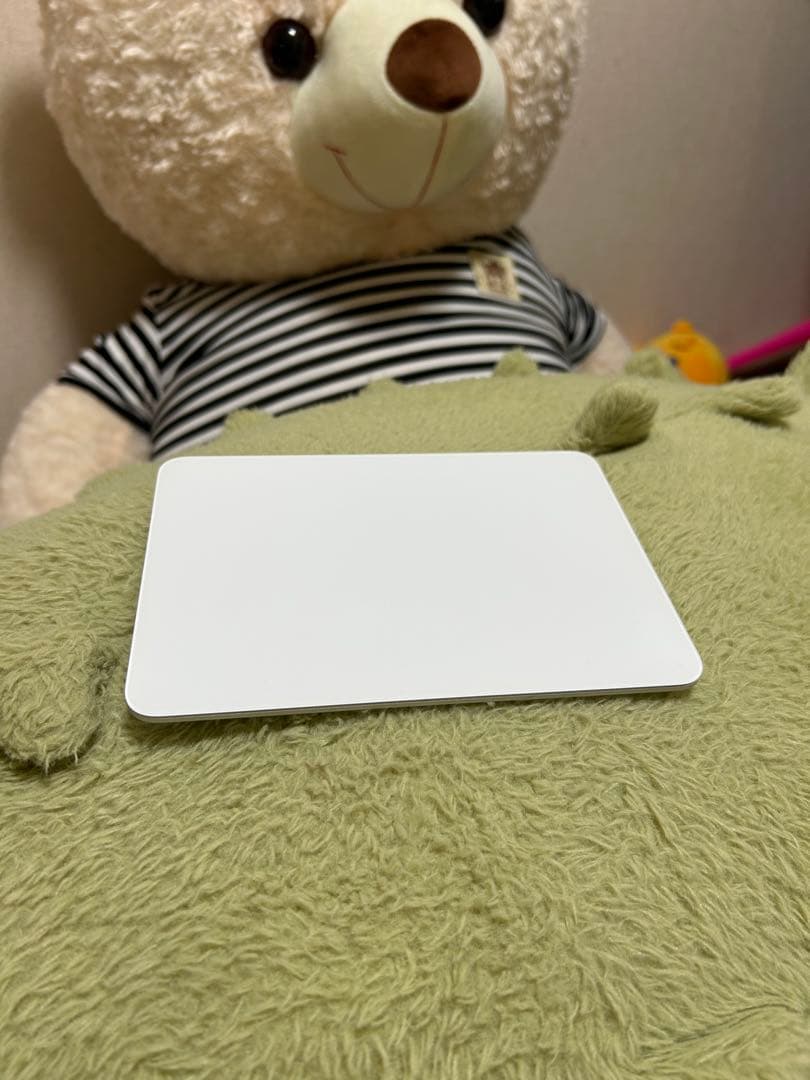 iPad Pro (11 inch) （第3世代）