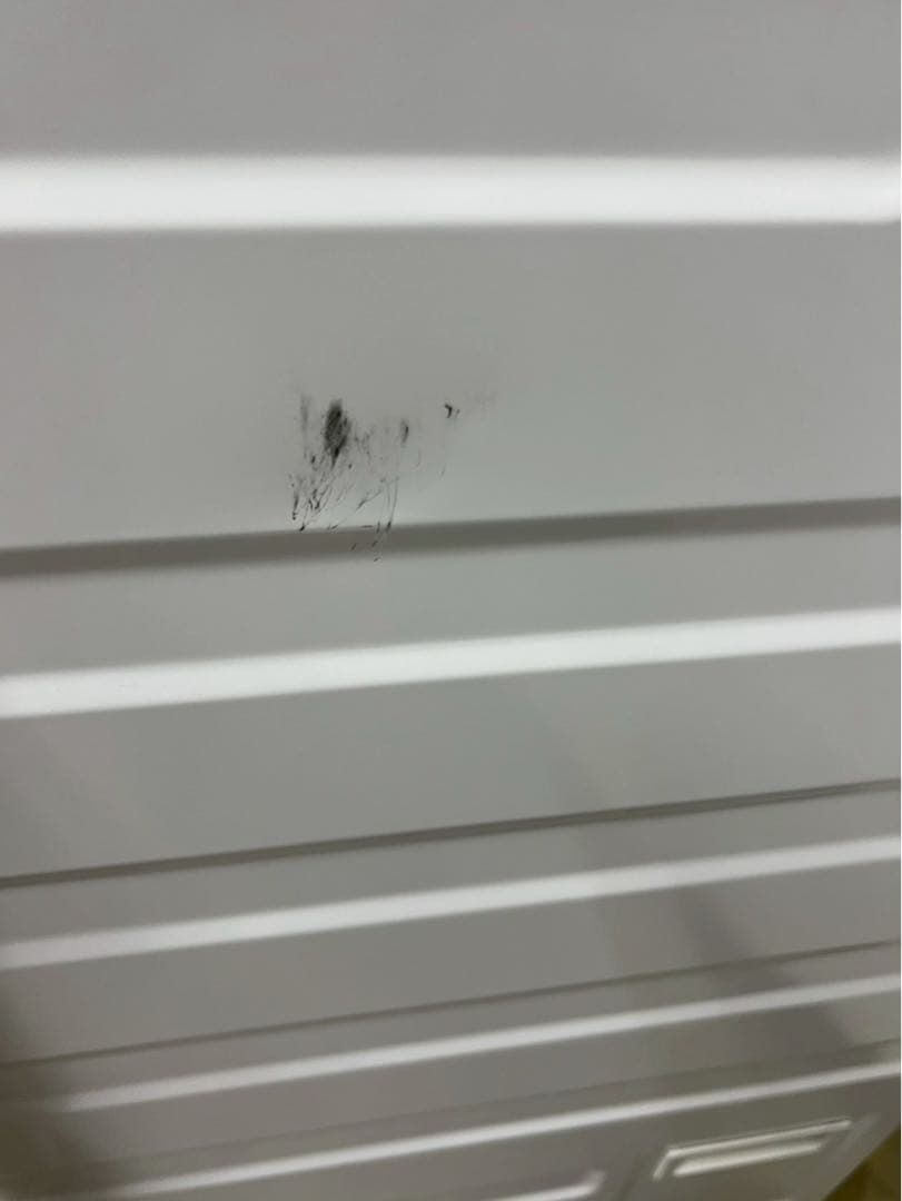 【分解清掃済み】東芝ドラム式洗濯機TW-117V9L 洗濯11kg乾燥7kg