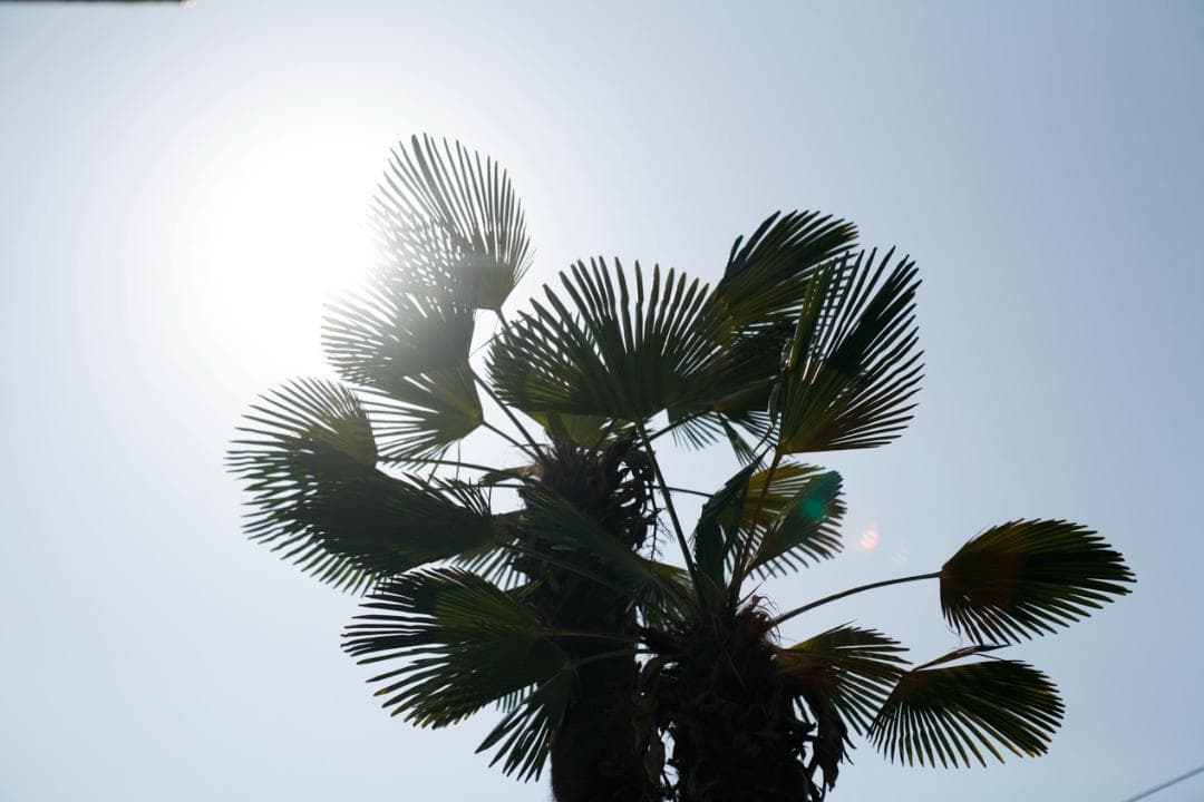 フィルムカメラ PENTAX SMC TAKUMAR f1.4 50mm M42 L75