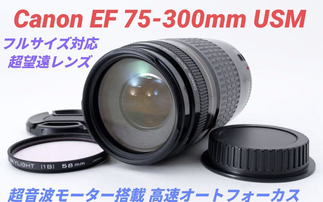 1月27日限定②OP付【超望遠レンズ】Canon EF 75-300mm USM