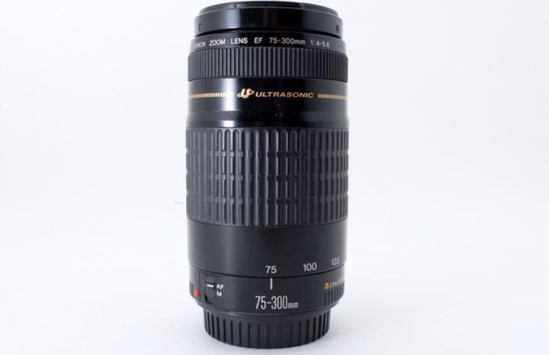 1月27日限定②OP付【超望遠レンズ】Canon EF 75-300mm USM