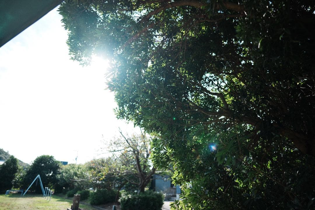 【撮影者厳選】家族の時間を映画のように SONY SEL24F14GM 未使用級