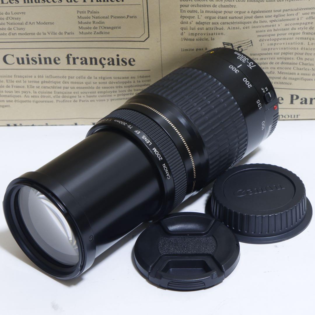 ◇ 大迫力超望遠!! ◇Canon純正 75-300mm I型 超望遠◇