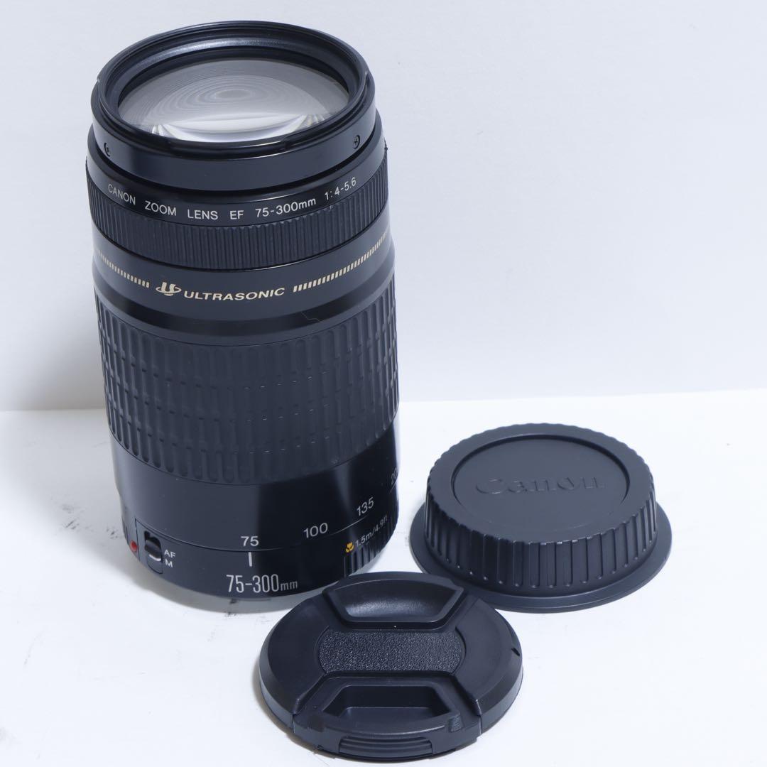 ◇ 大迫力超望遠!! ◇Canon純正 75-300mm I型 超望遠◇