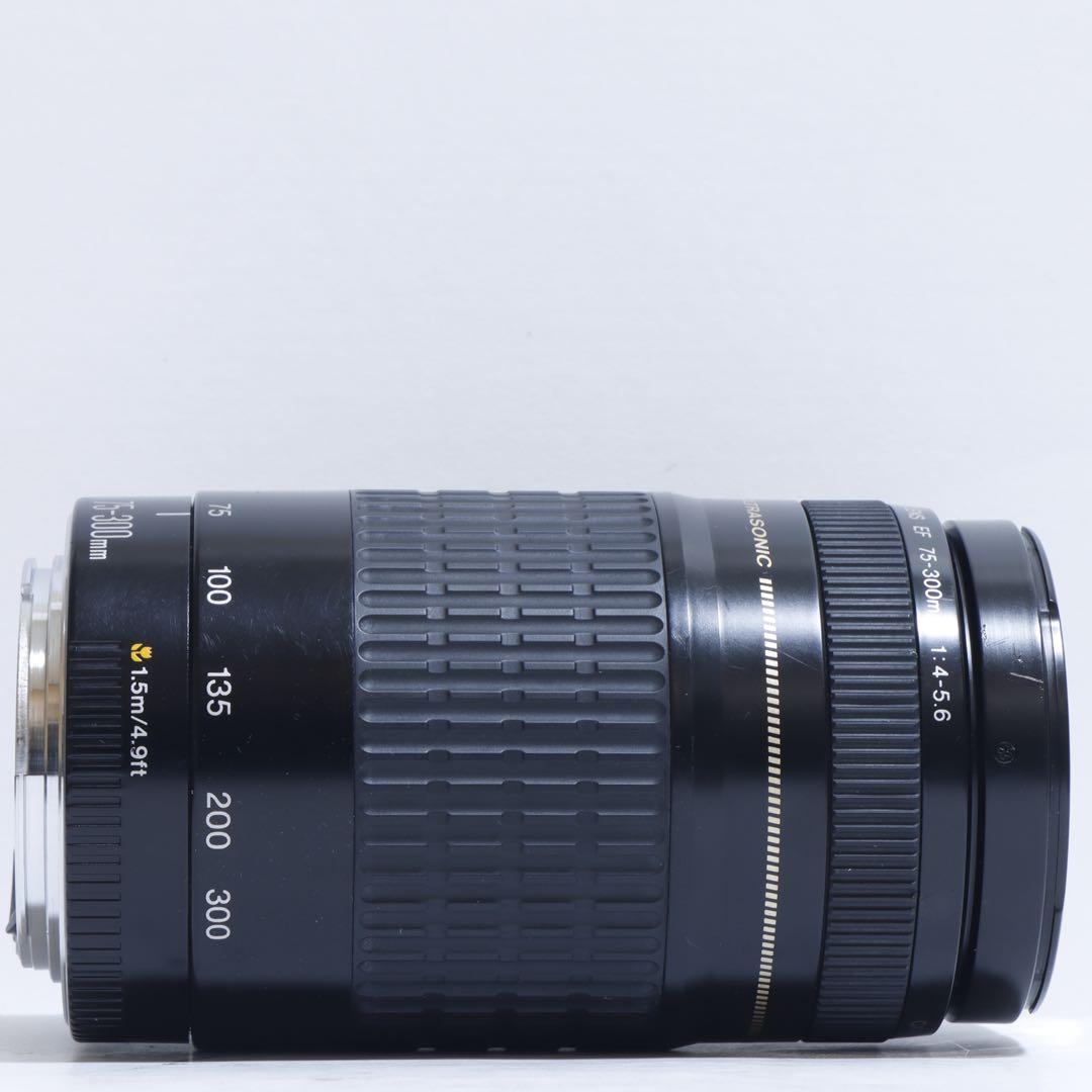 ◇ 大迫力超望遠!! ◇Canon純正 75-300mm I型 超望遠◇