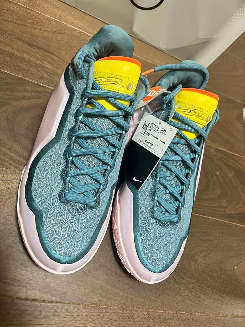 LEBRON XXIII EP レブロン23 試着のみ 29cm